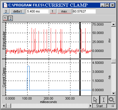 Field Potential